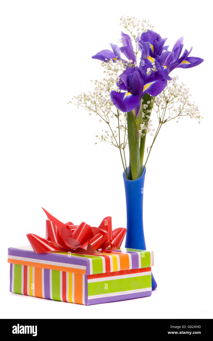 Bouquet of a irises and gift box on white background Stock Photo