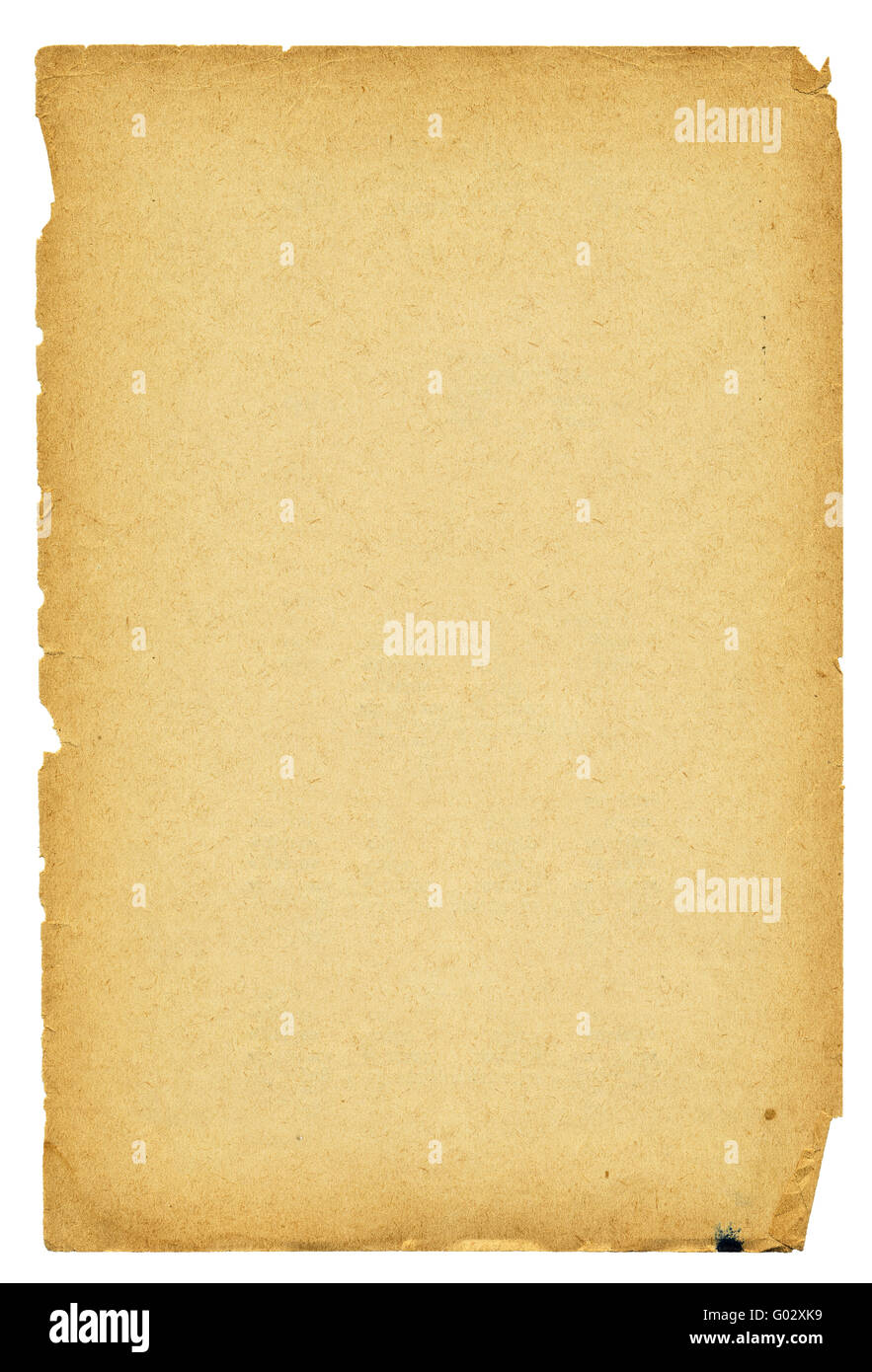 High detailed vintage paper with torn edges isolated on white Stock ...