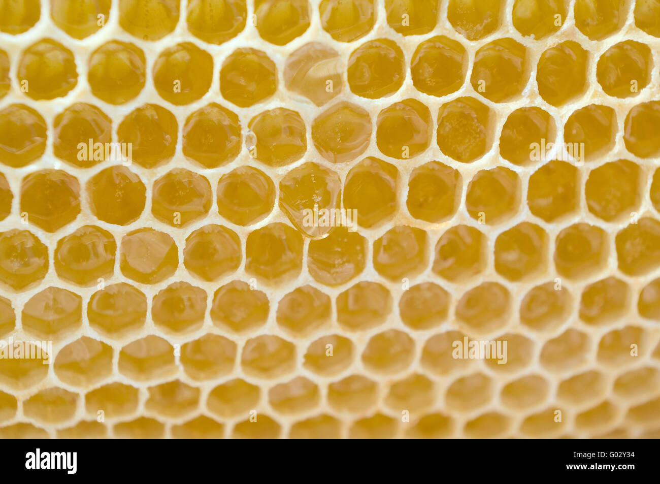 Drop of honey flowing Stock Photo - Alamy