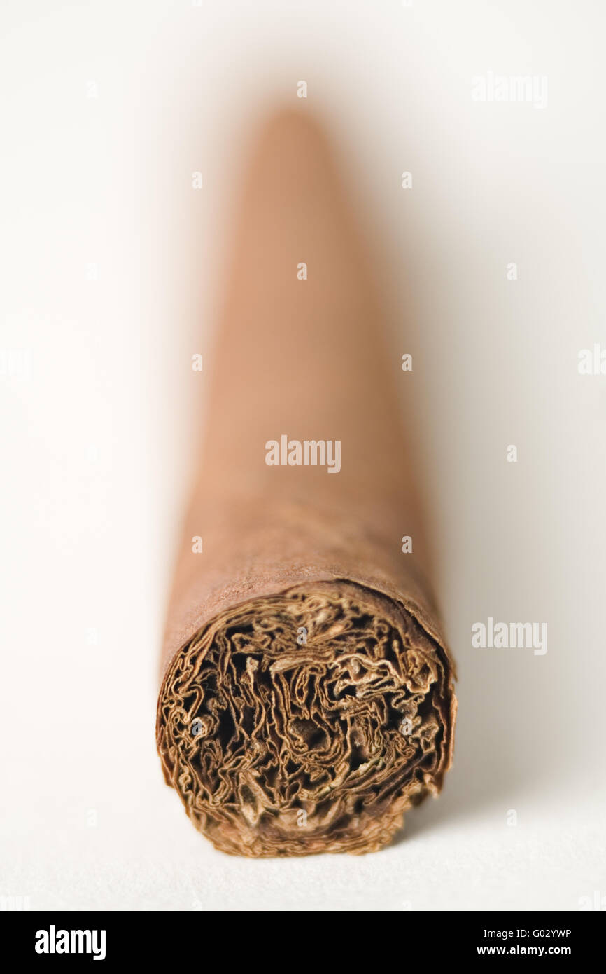 cigar Stock Photo