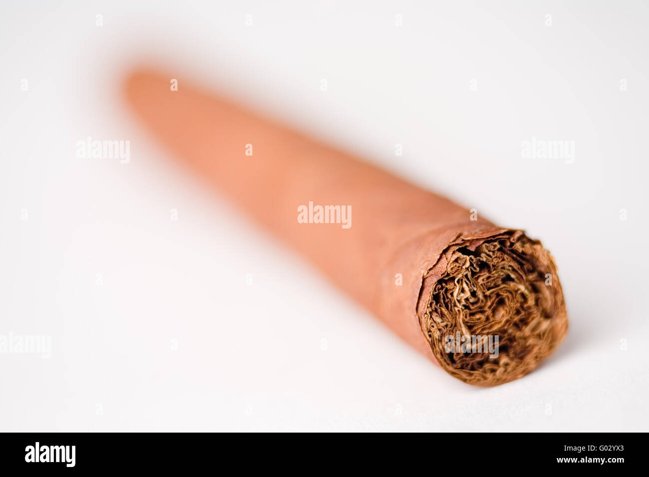 cigar Stock Photo