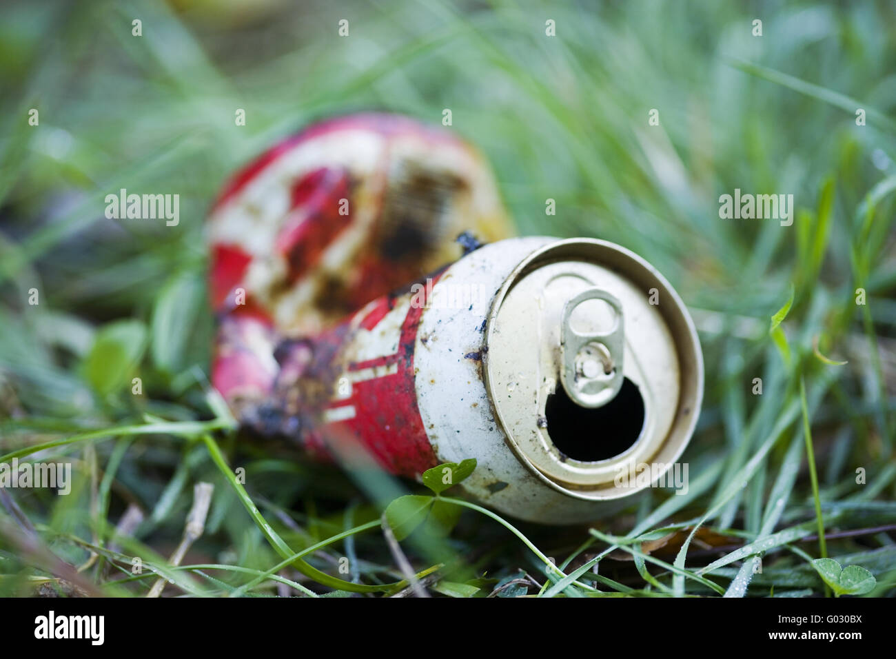 beverage can on a meadow Stock Photo