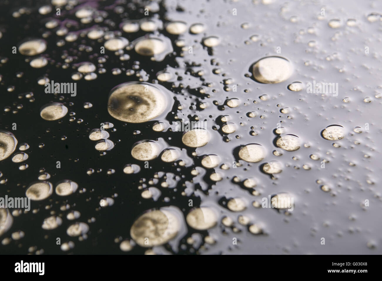 Engine oil with water Stock Photo Alamy