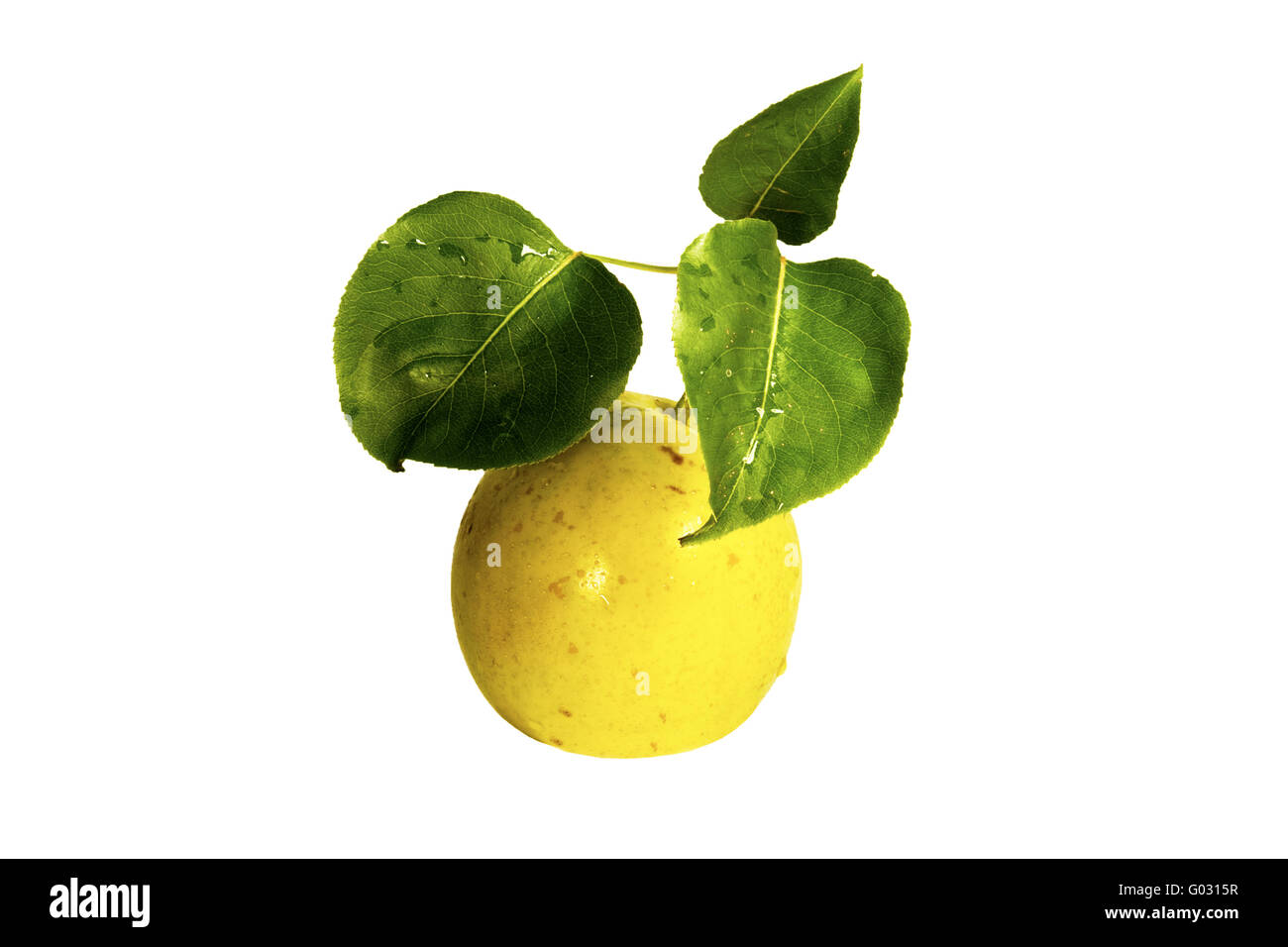 apple-pear-isolated-stock-photo-alamy
