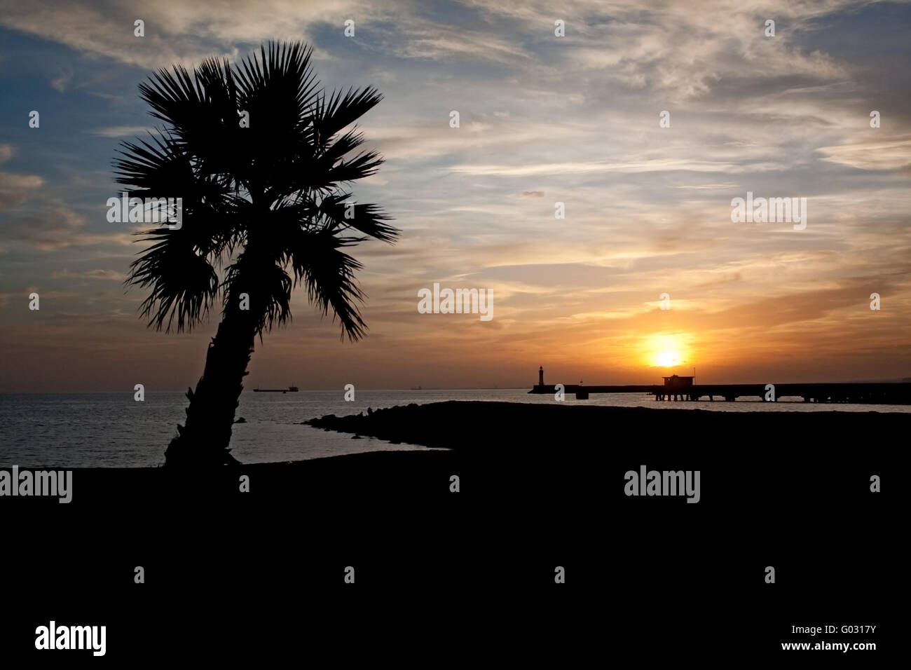Palm Tree And Sunset Stock Photo - Alamy