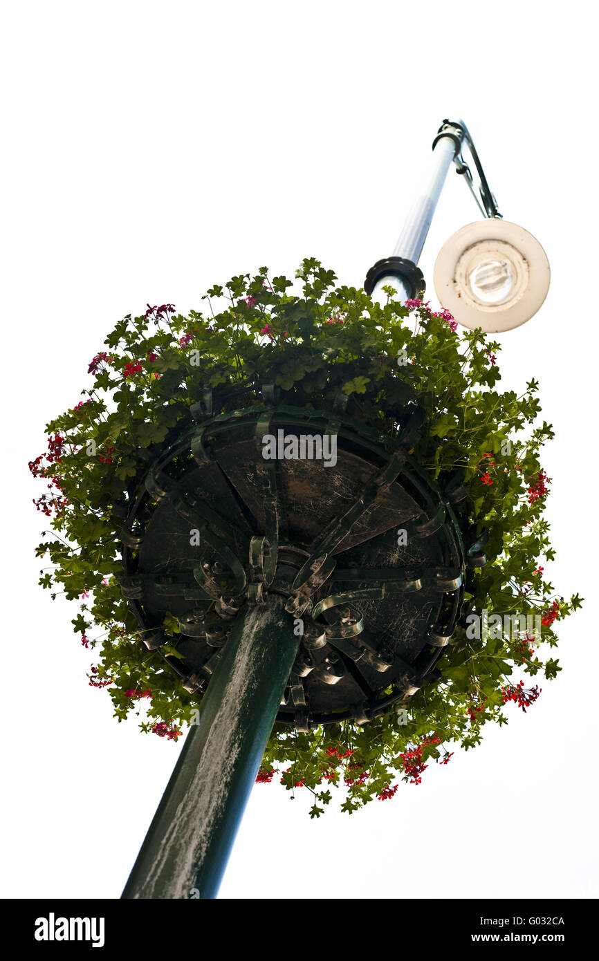 street lamp with floral decoration Stock Photo