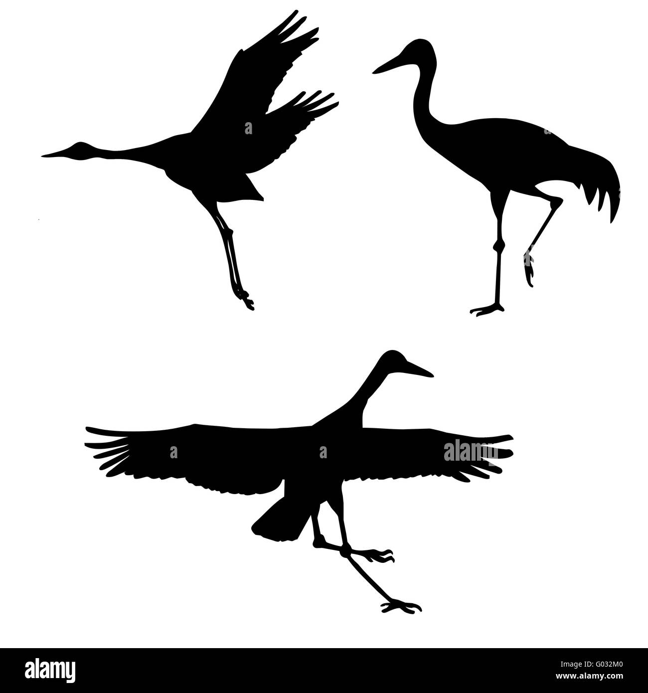 vector silhouette of the cranes on white background Stock Photo