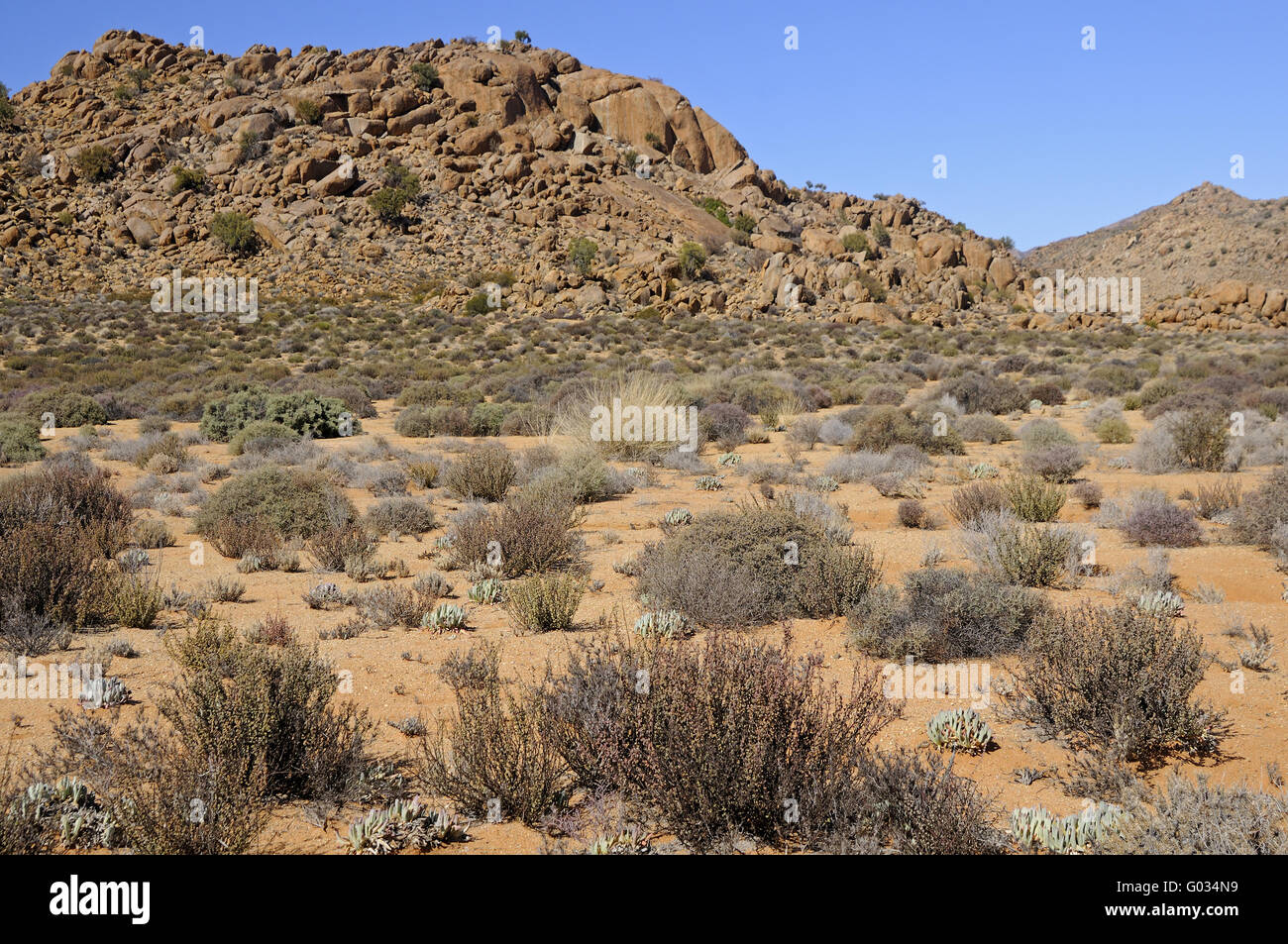 Semi-desert landscape of the Goegap Nature Reserve Stock Photo