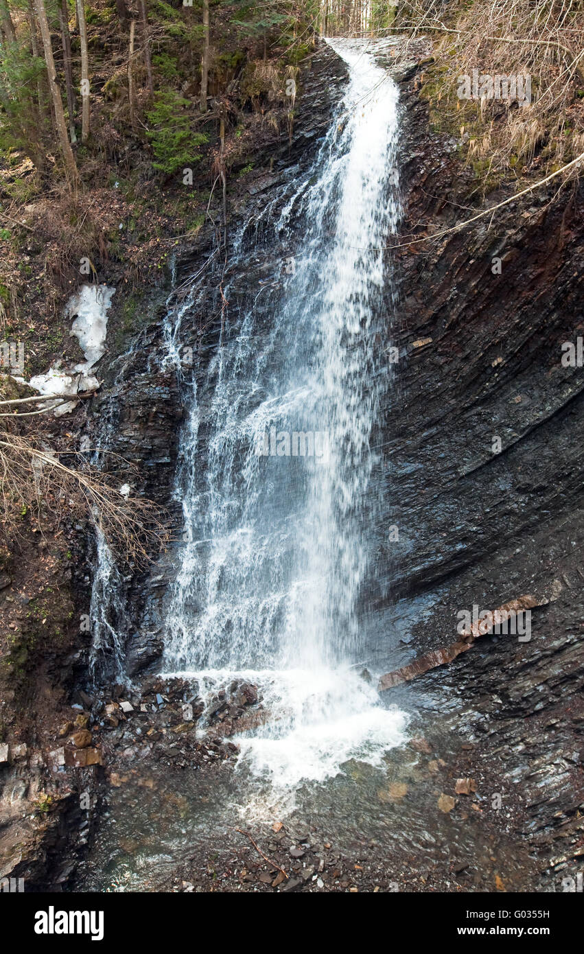 Waterfall and brook in mountain forest ravine Stock Photo - Alamy