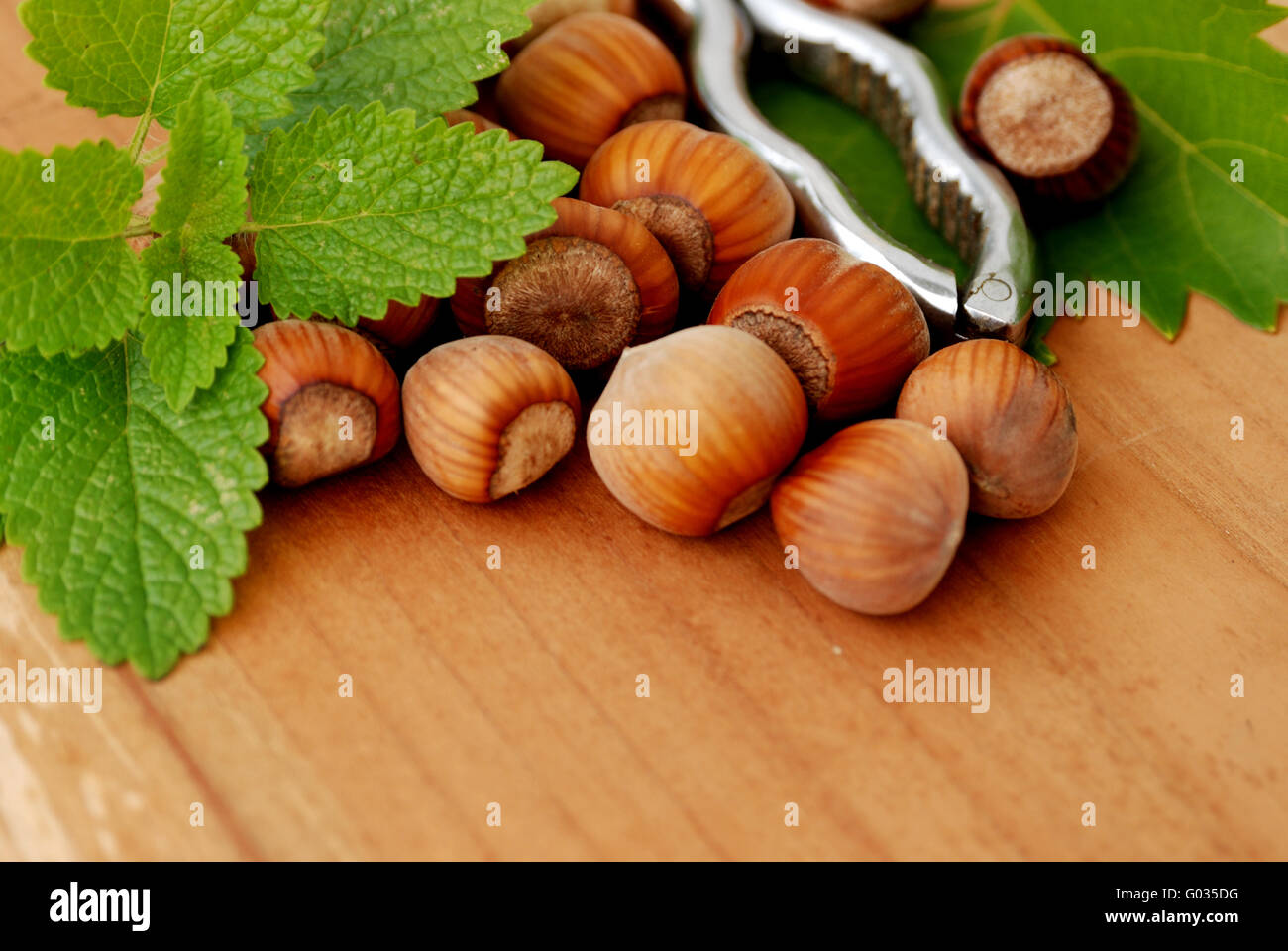 Hazelnuts with pincers 3 Stock Photo