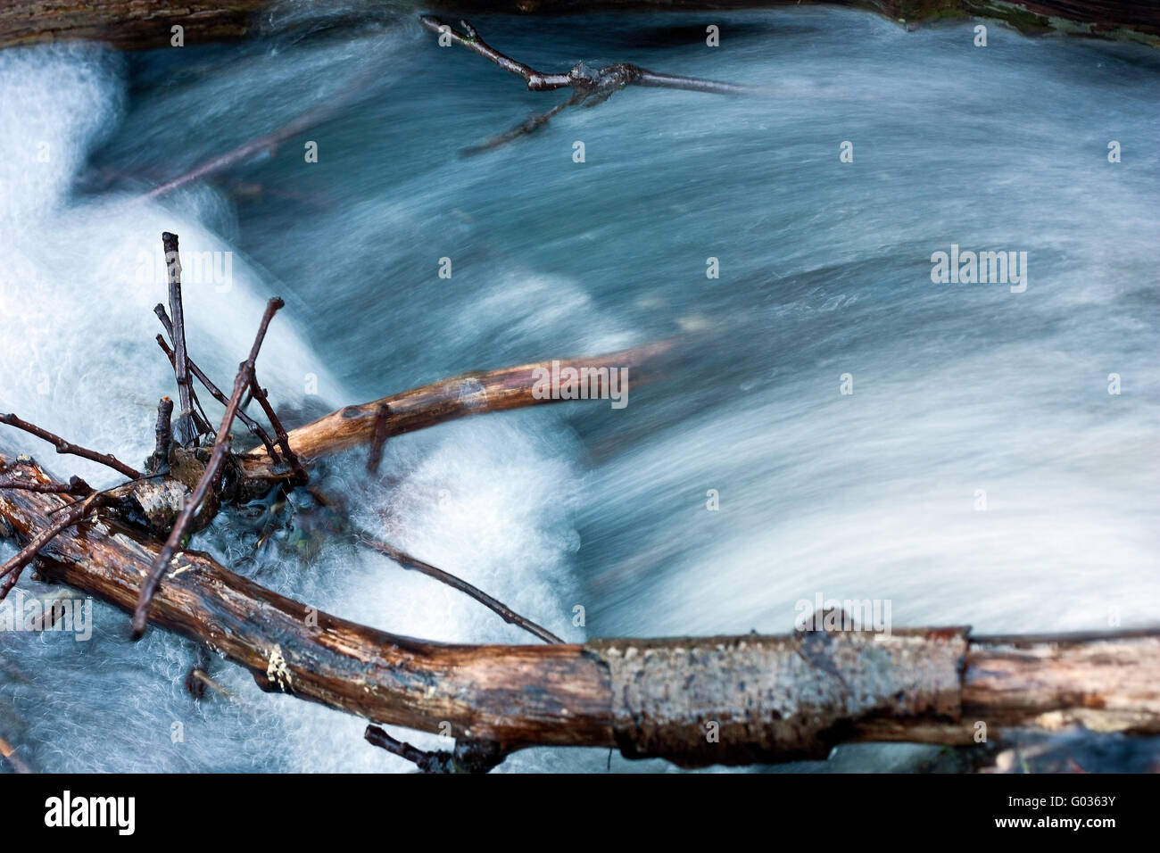 River passing branches Stock Photo