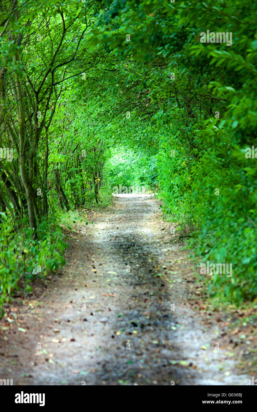 green path Stock Photo