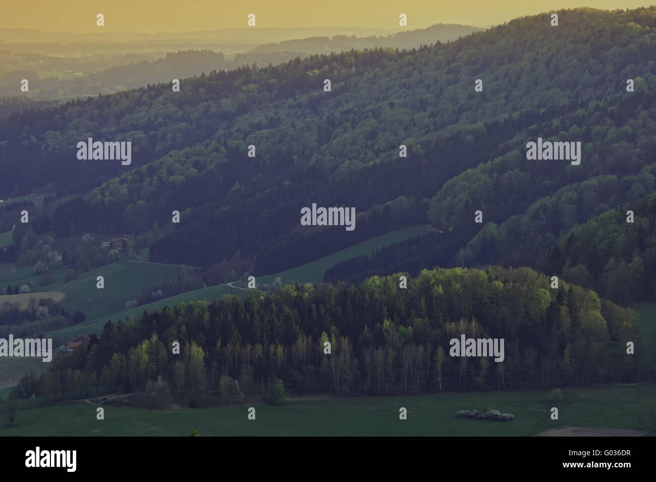 Bavarian forest in spring hi-res stock photography and images - Alamy