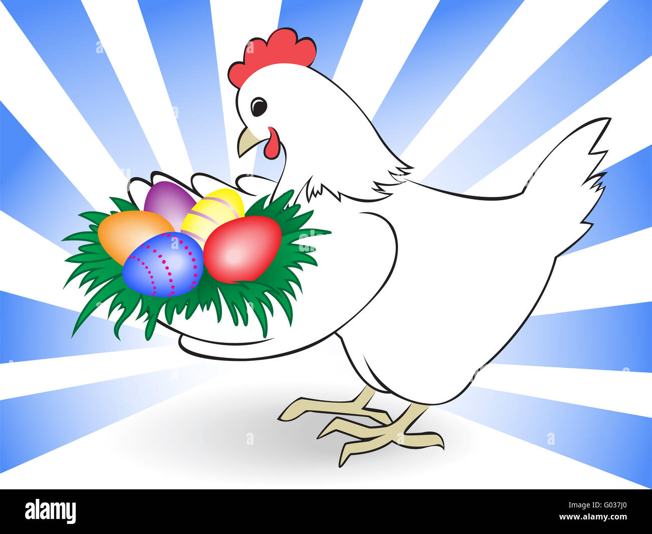 white chicken keeps a nest with colored eggs Stock Photo - Alamy