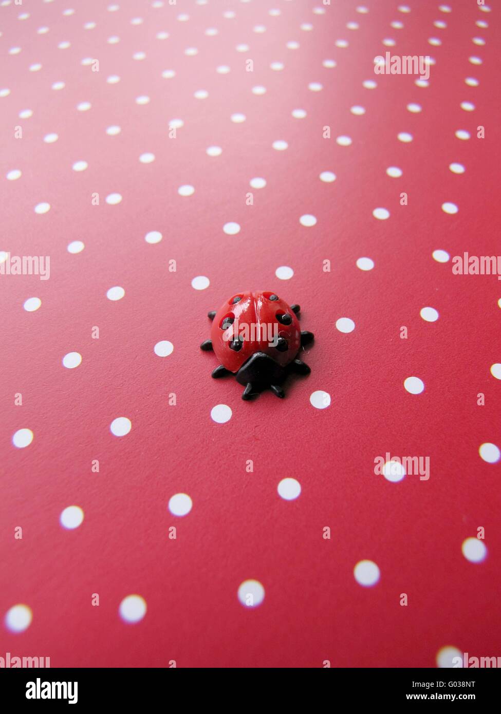 Ladybug Stock Photo