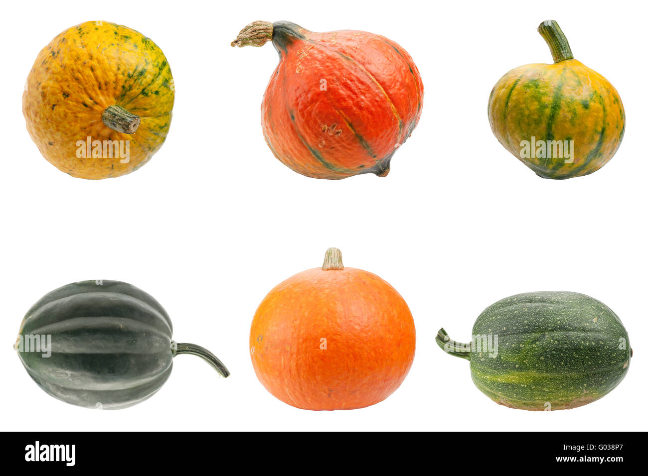 Colourful pumpkins isolated on white background Stock Photo - Alamy