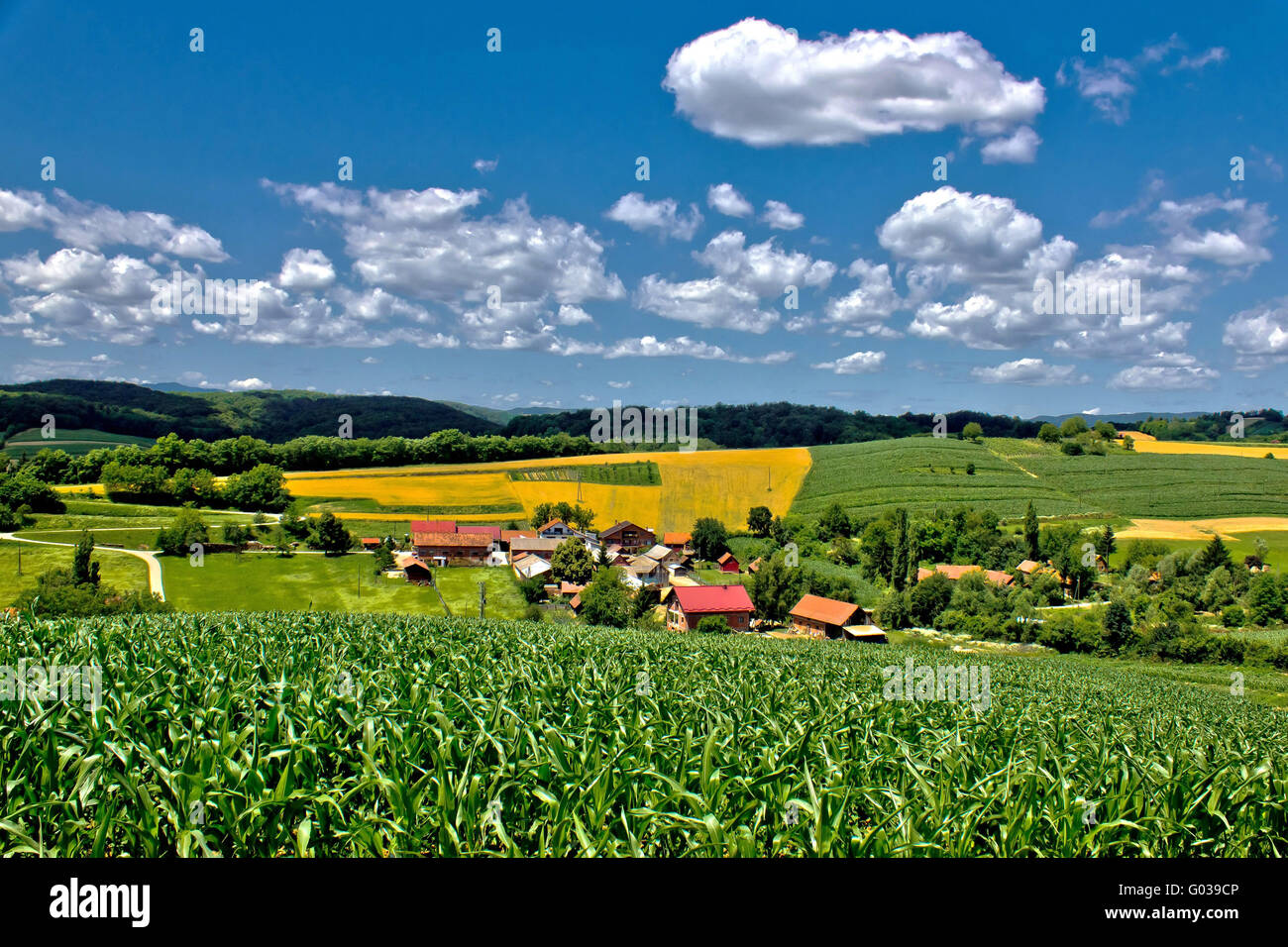 Beautiful green village scenery landscape in spring time III Stock ...