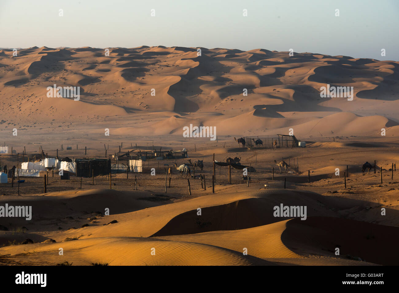Desert camel camp Stock Photo