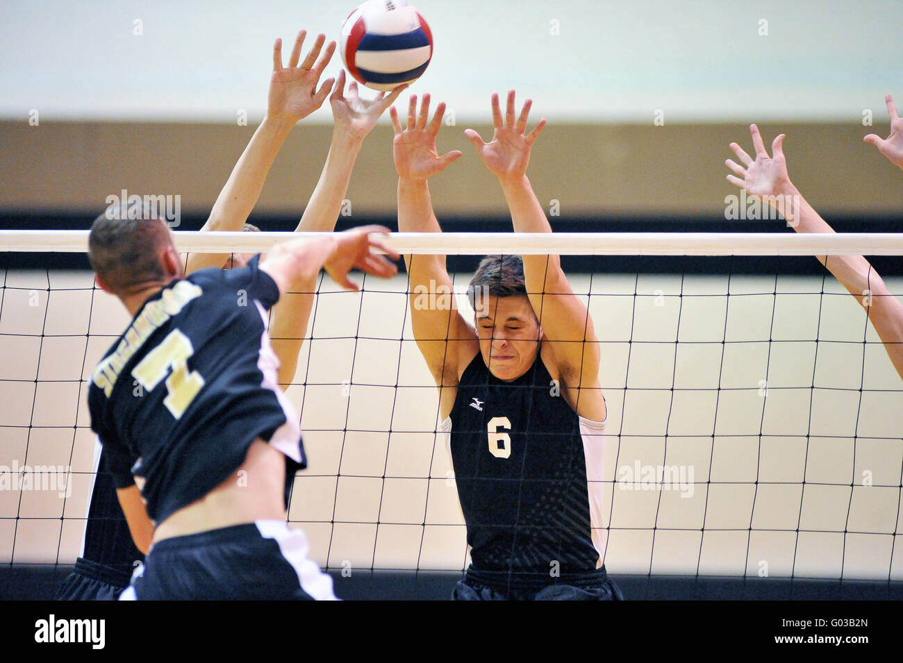 Volley of shots hires stock photography and images Alamy