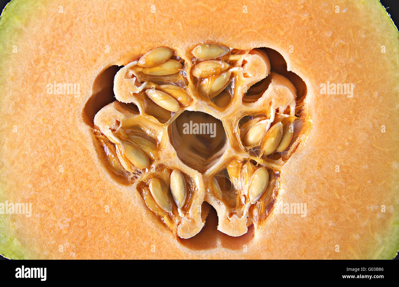 The inside of a honeydew melon Stock Photo Alamy