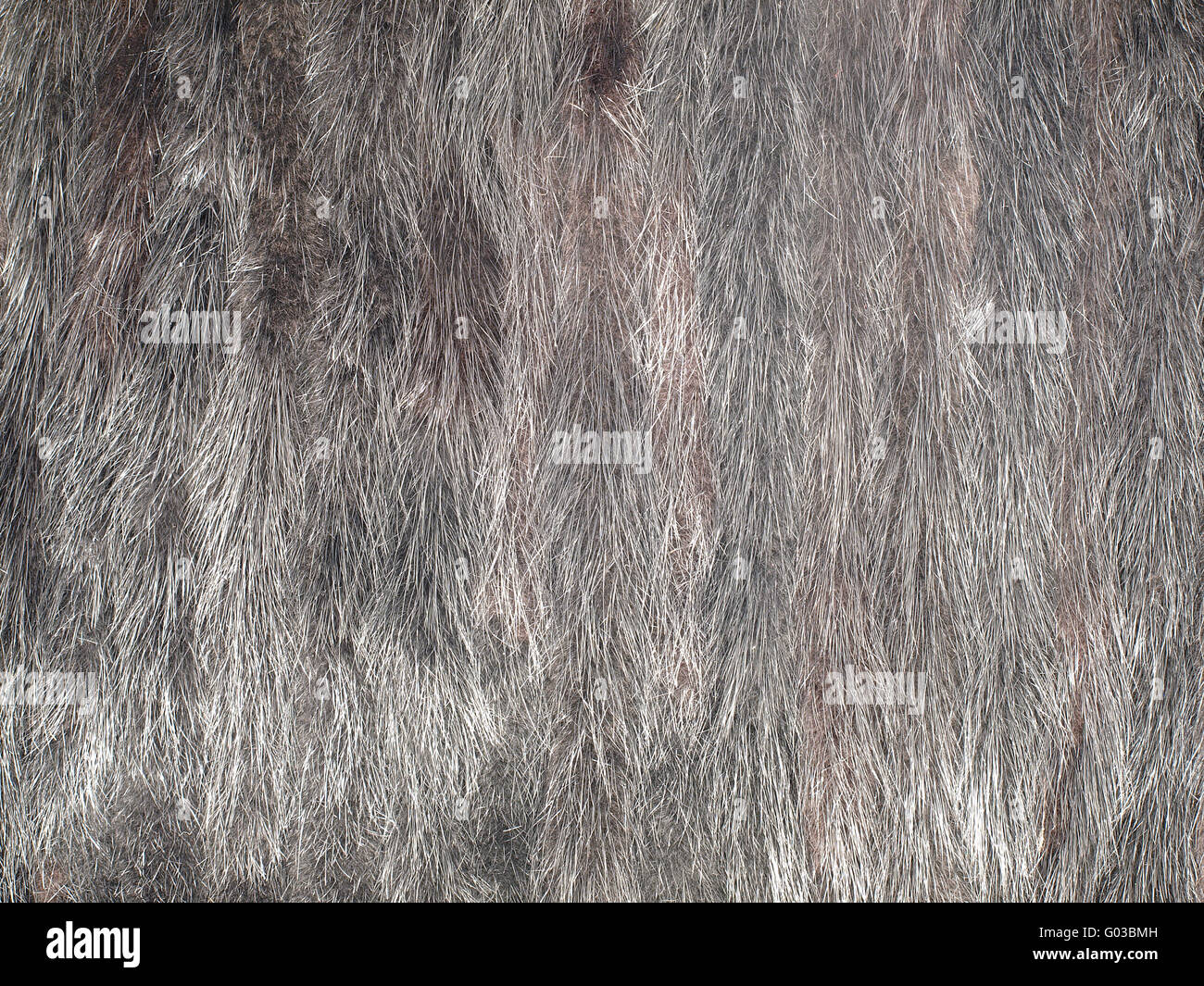 Mink fur Stock Photo Alamy