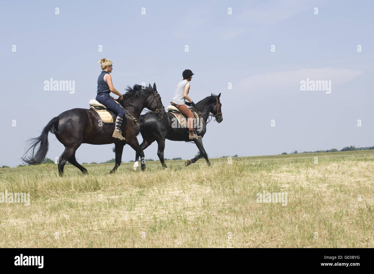 horse riding Stock Photo