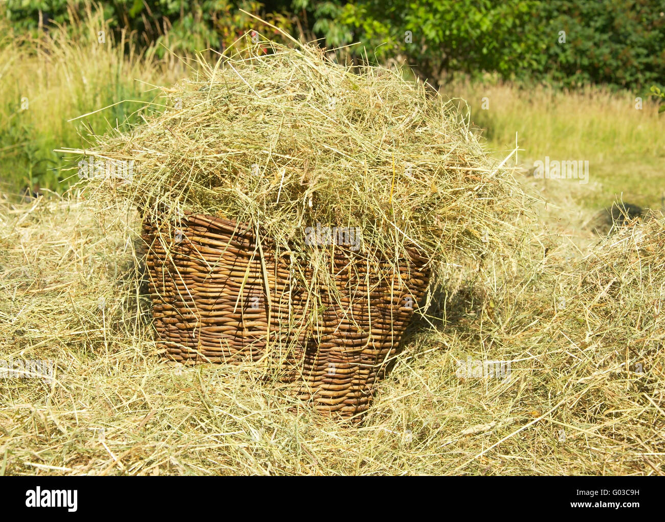 wickerbasket with fresh hay Stock Photo