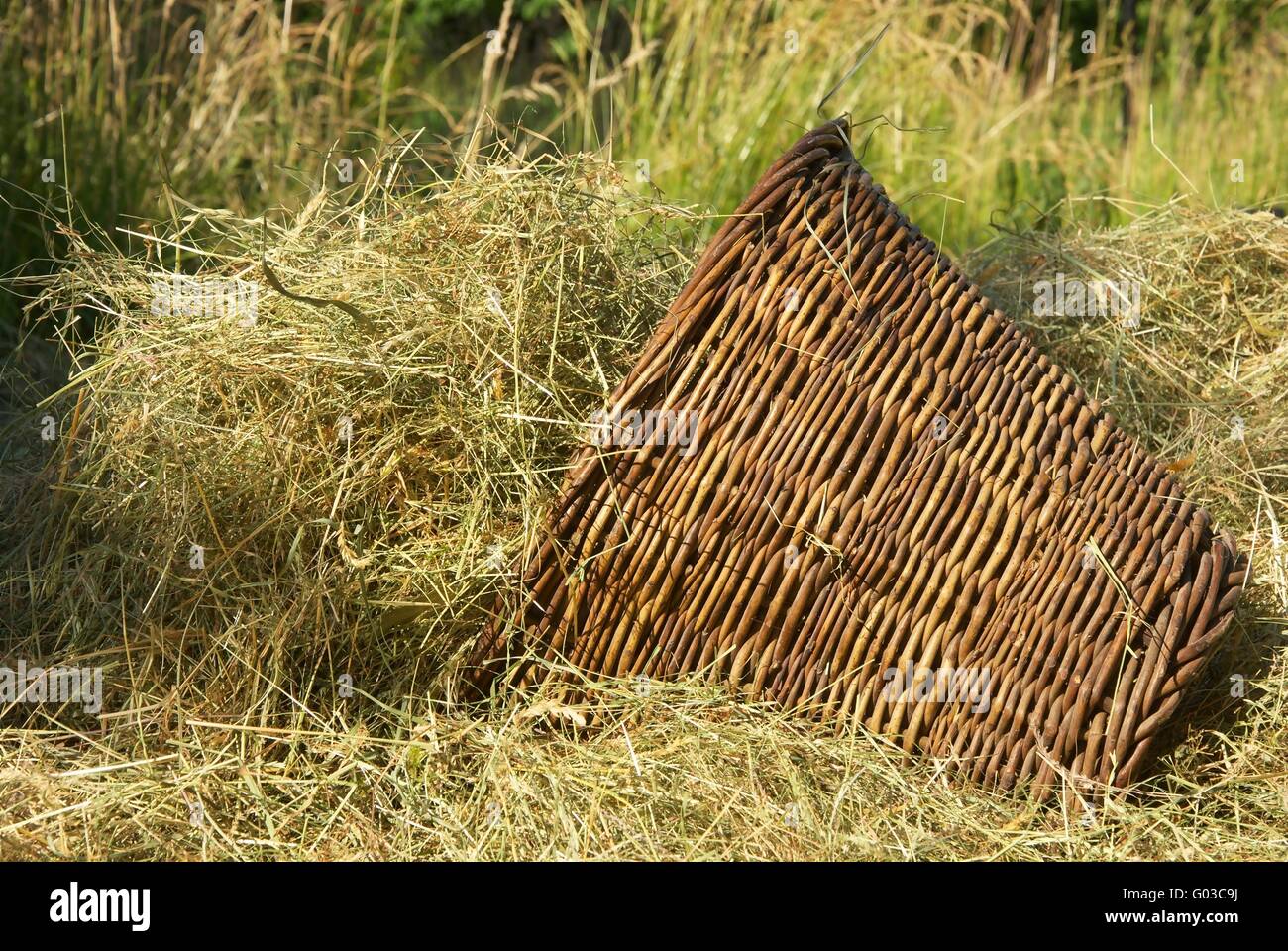 wickerbasket with fresh hay Stock Photo