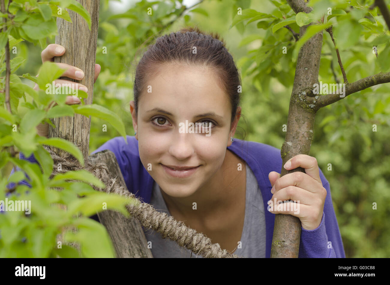 Young woman looks out from tree Stock Photo