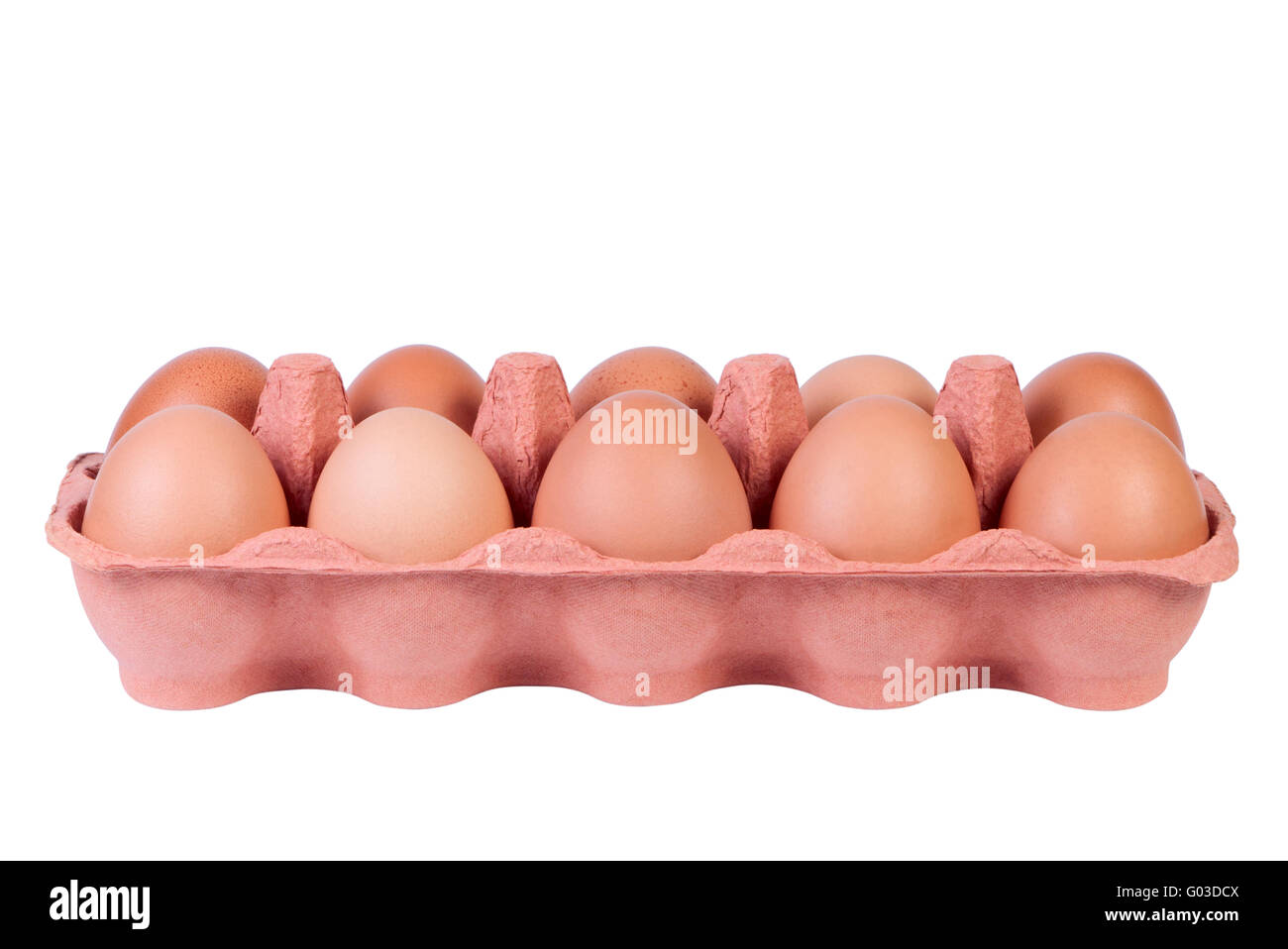 Chicken eggs in carton tray isolated on white background. Stock Photo