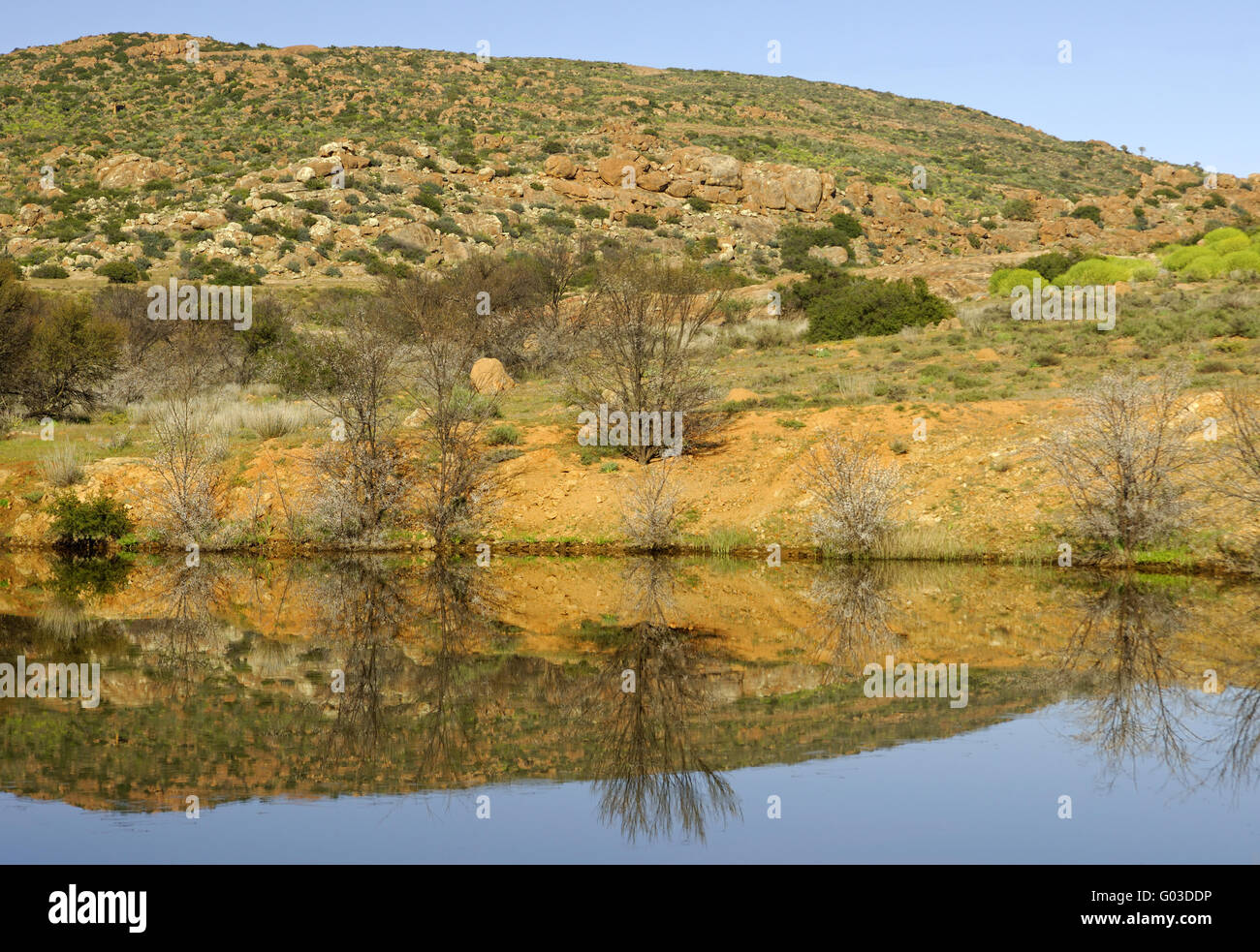 Water reflections, Northern Cape, South Africa Stock Photo