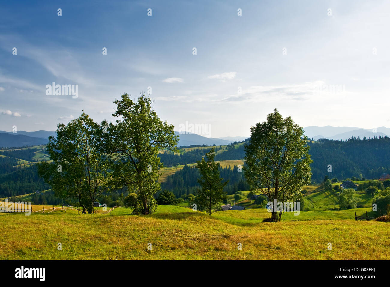 Rural landscape with trees, hills and mountains Stock Photo - Alamy