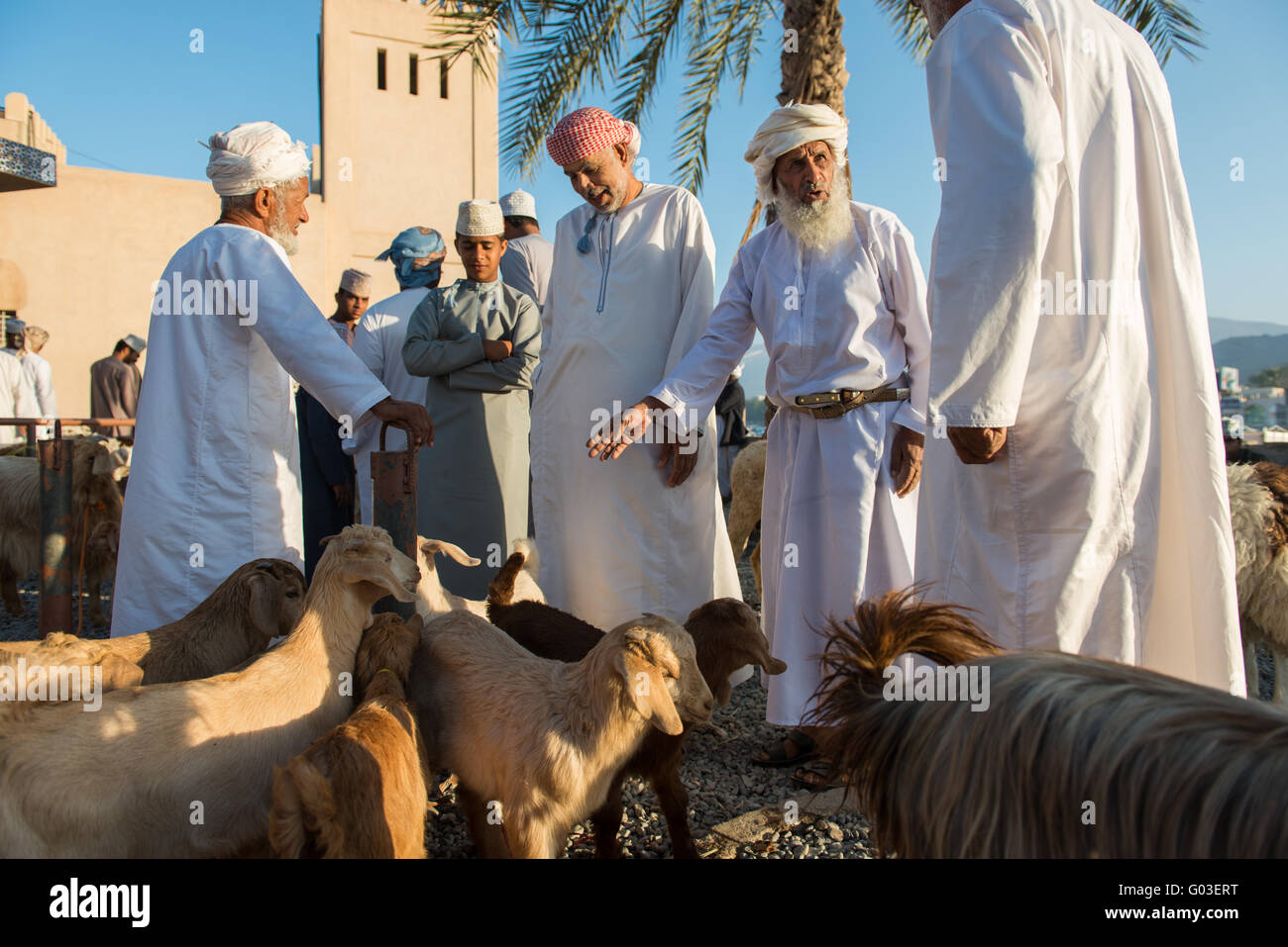 Livestock auction, Nizwa, Oman. Stock Photo