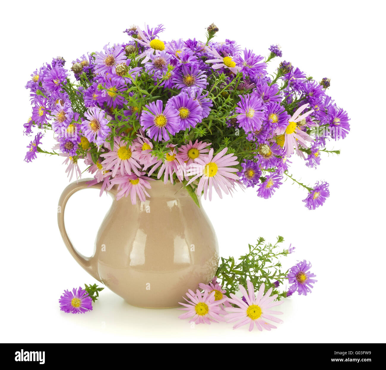 Bouquet of gentle autumn pink and violet chrysanthemums Stock Photo