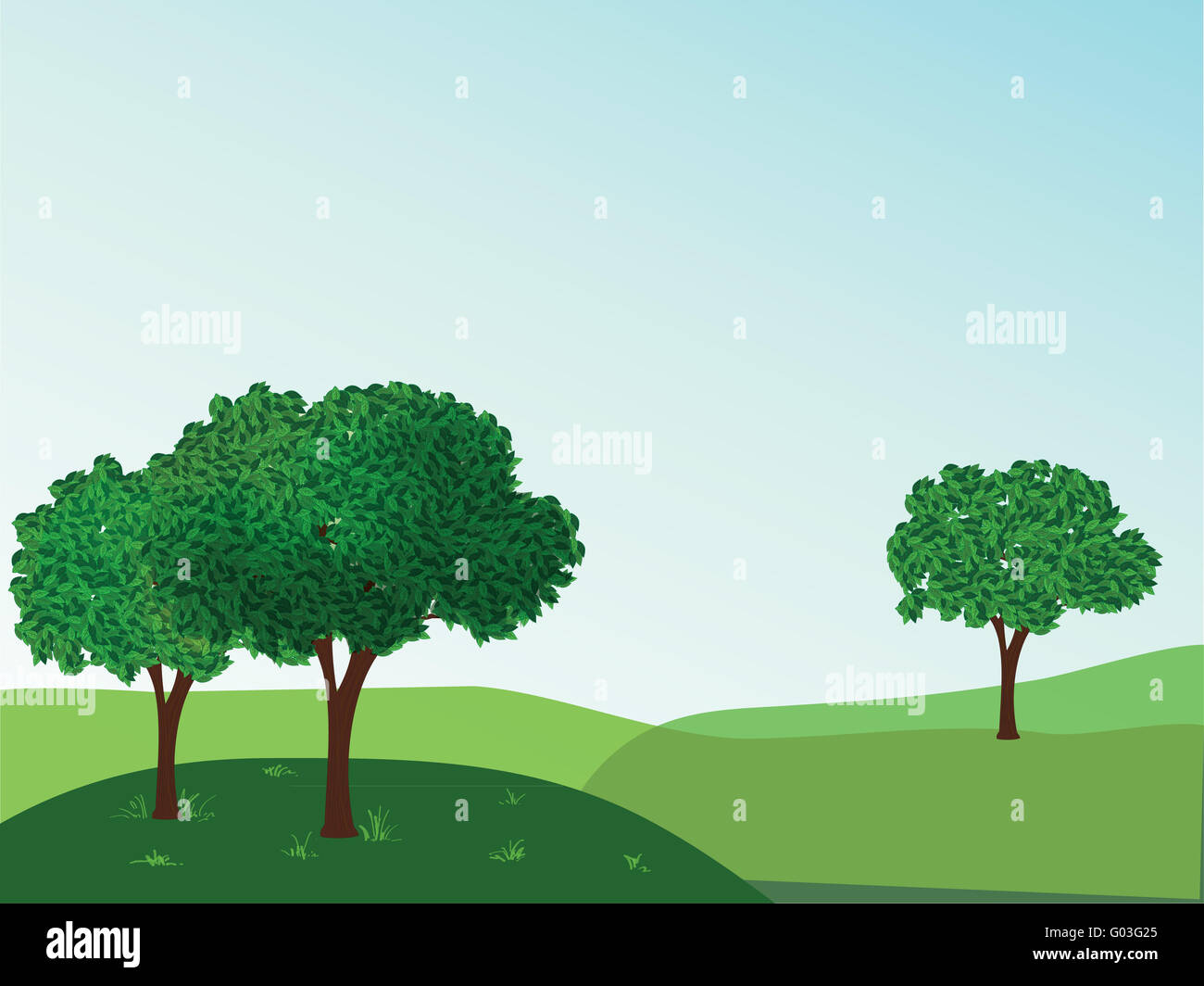 Summer landscape with trees vector illustration Stock Photo - Alamy
