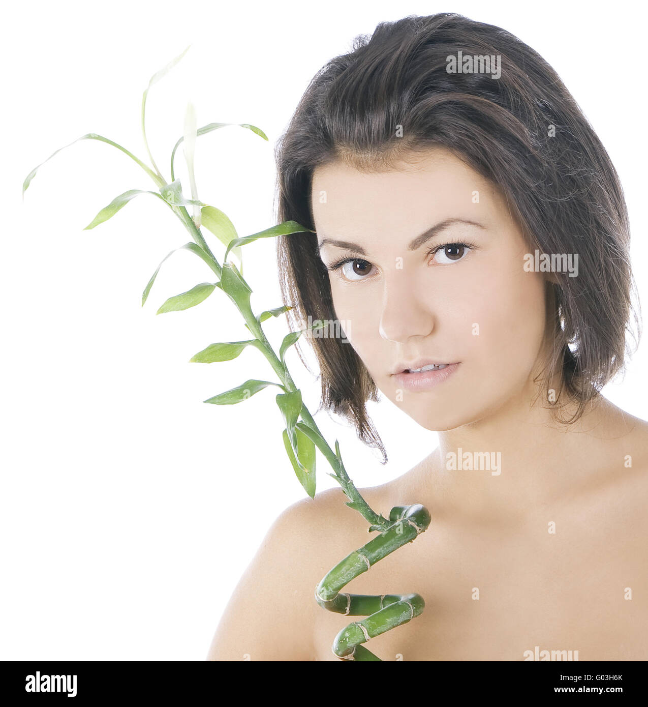 picture of attractive brunette with bamboo over white Stock Photo