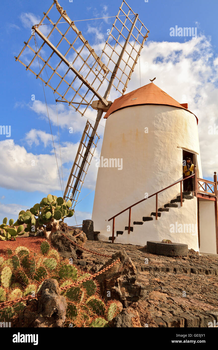 Spain Lanzaroti Guatiza Cactus Garden Windmill Stock Photo