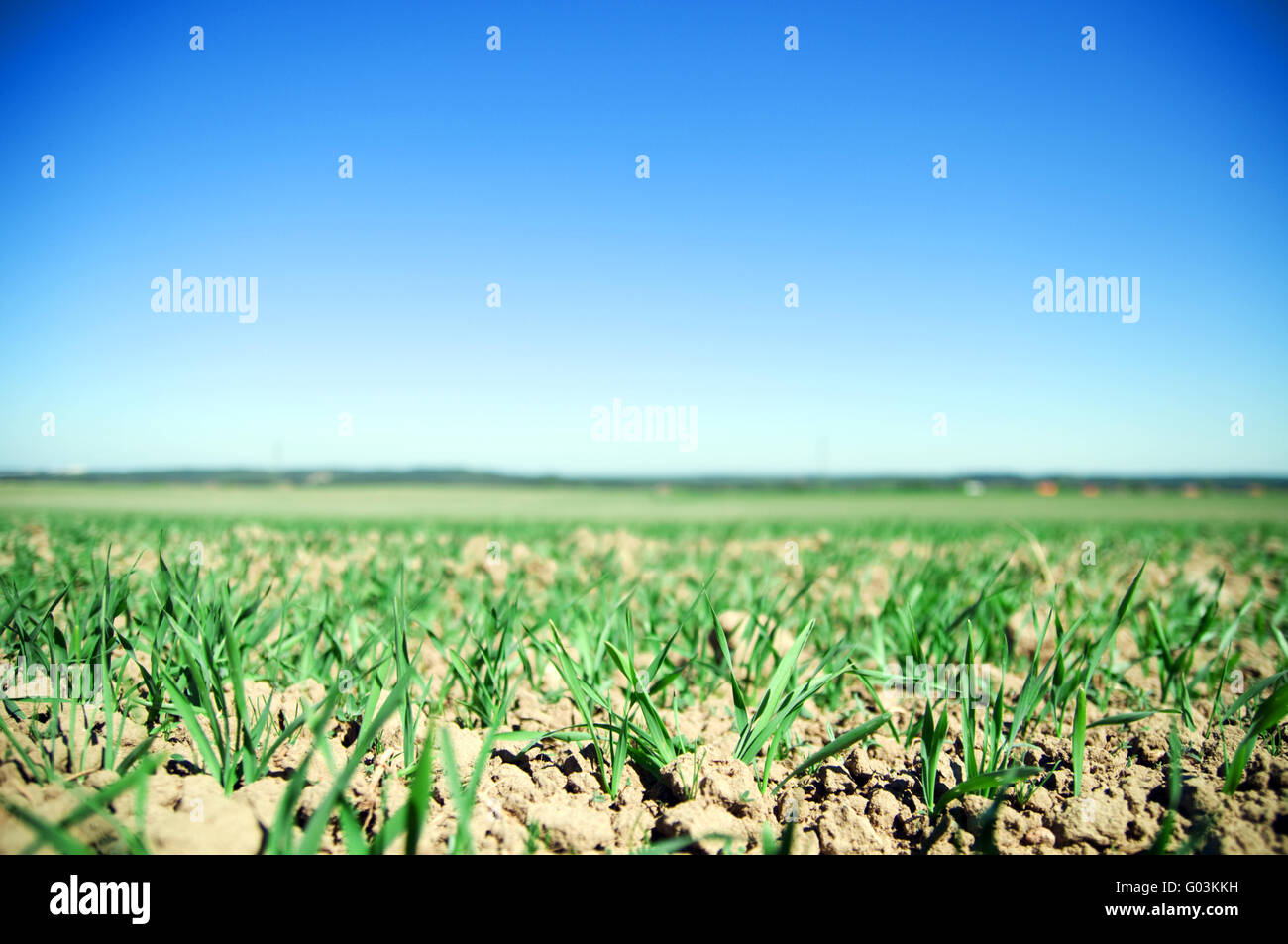 Plain field lanscape of agricultural fertile ground Stock Photo