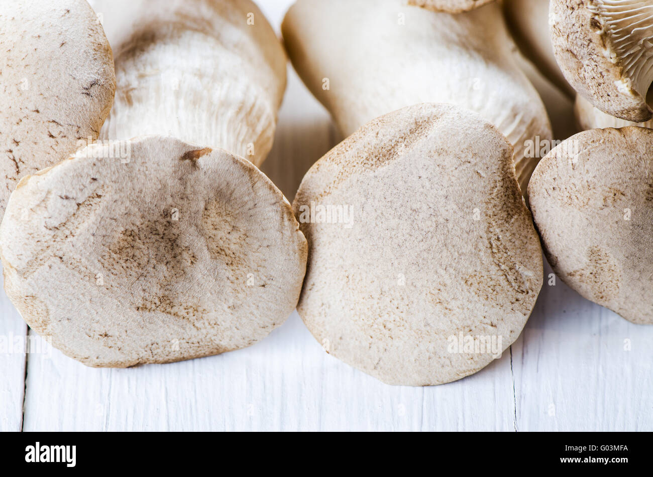 King oyster mushrooms on a white wooden table Stock Photo