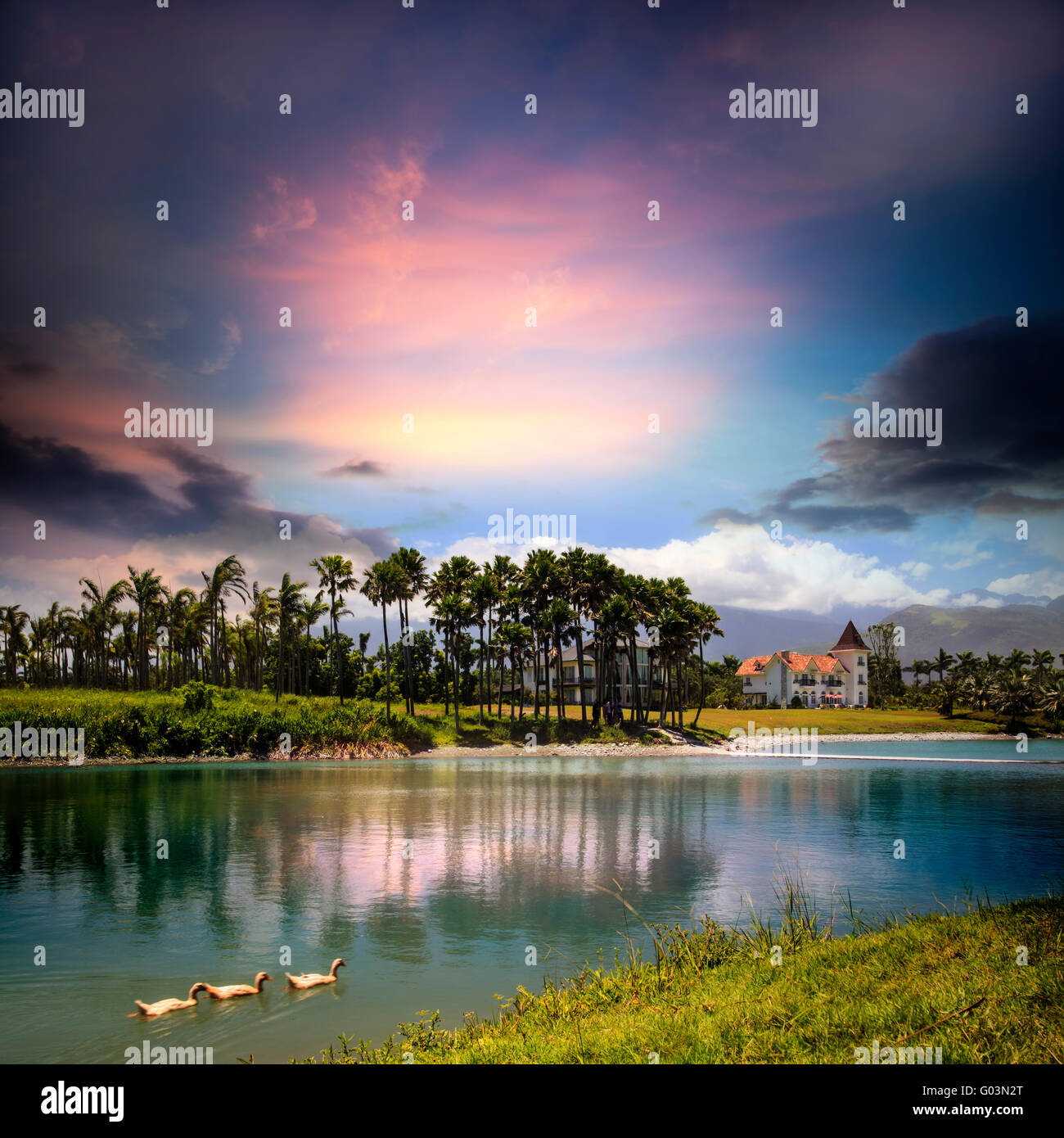 The Landscape of forest at Hualien, Taiwan, Asia Stock Photo - Alamy