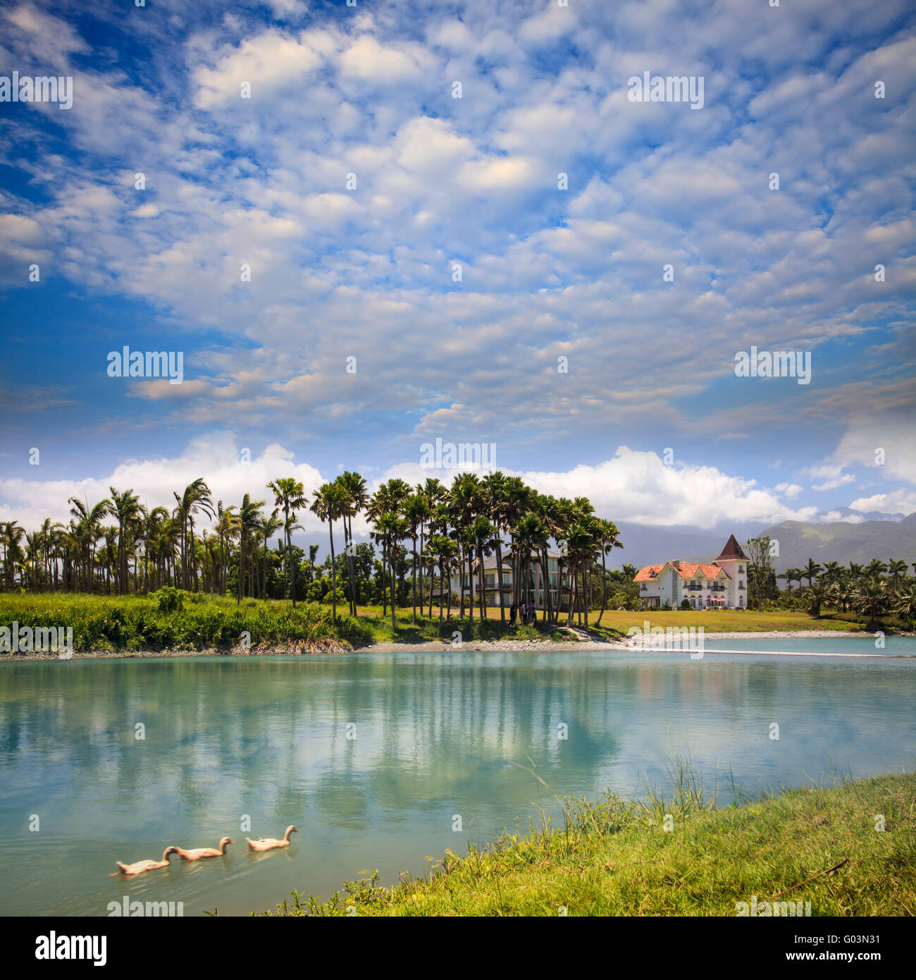 The Landscape of forest at Hualien, Taiwan, Asia Stock Photo - Alamy