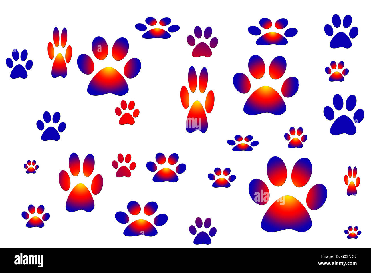 Vector Drawing Representing Animal Tracks Stock Photo Alamy vector-drawing-representing-animal-tracks-stock-photo-alamy