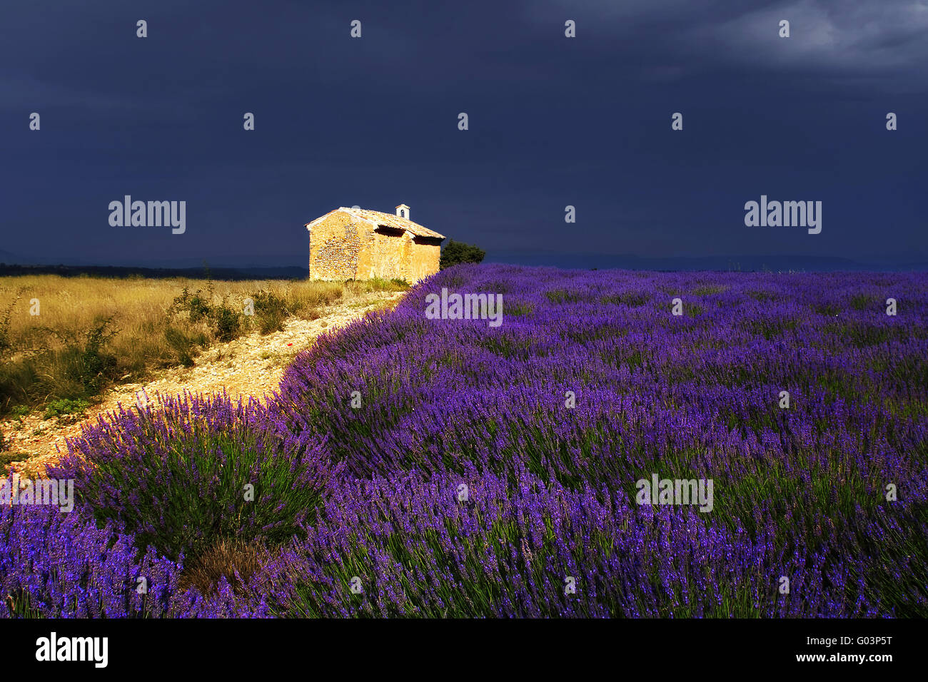 chapel in lavender fields, Entrevennes, Provence Stock Photo