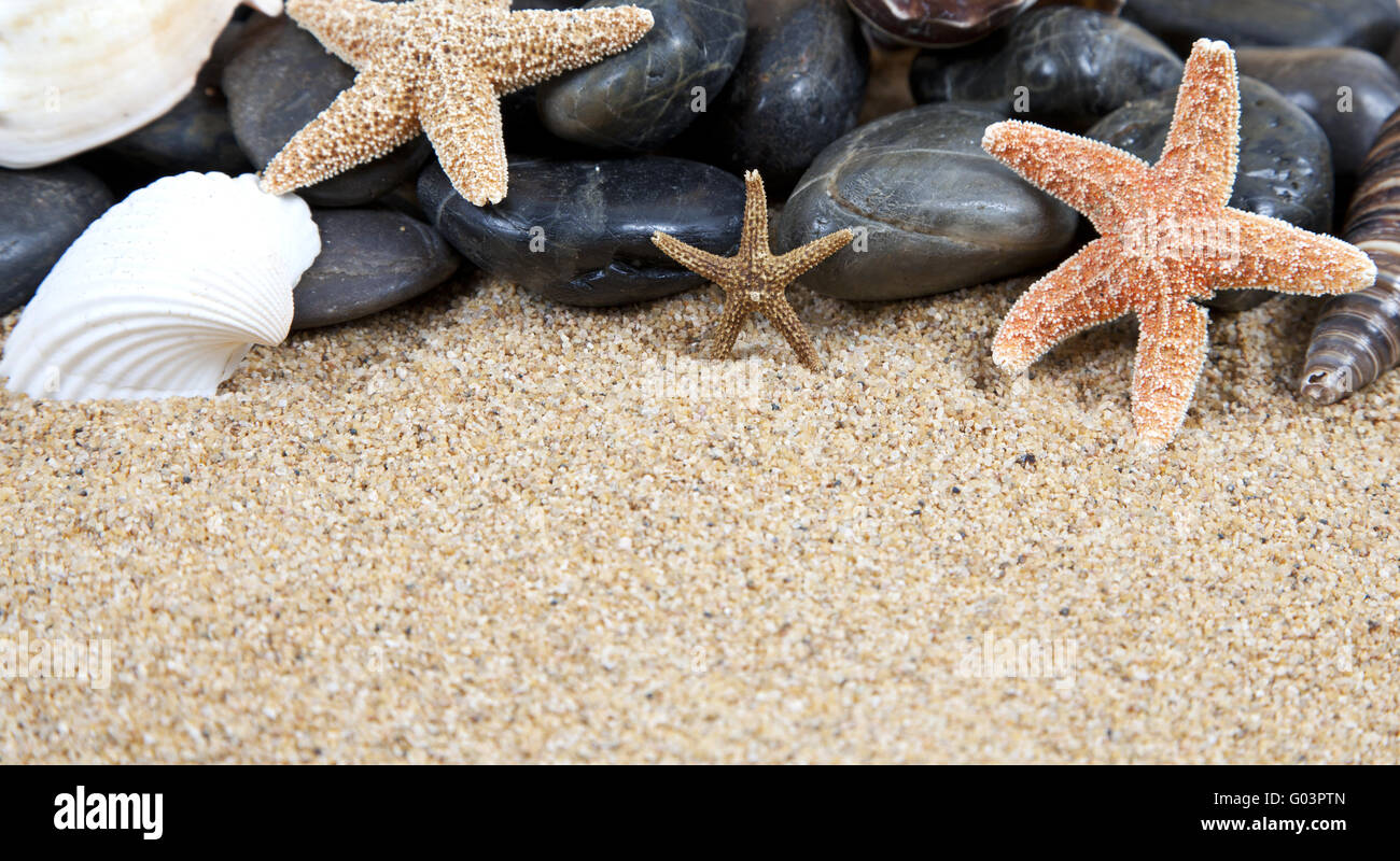 Shell Nice Background Nice background starfish hi-res stock photography and images - Alamy