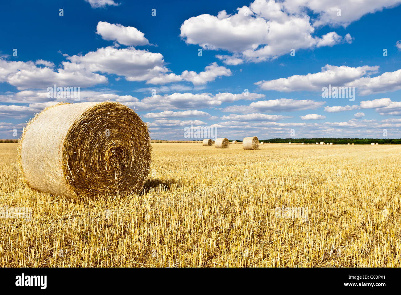 straw bales in a field with blue and white sky Stock Photo - Alamy