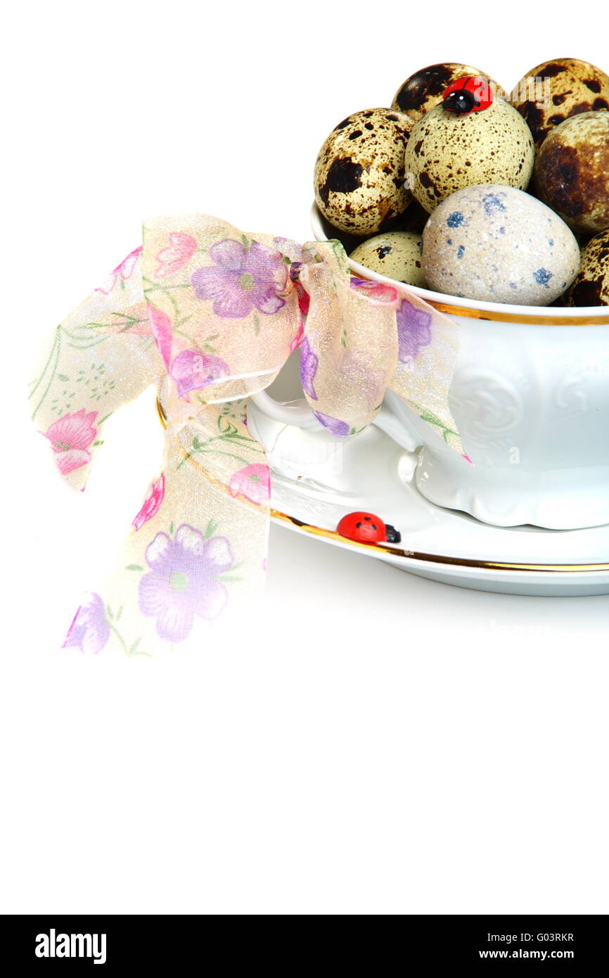 Easter eggs in a teacup on a white background Stock Photo Alamy