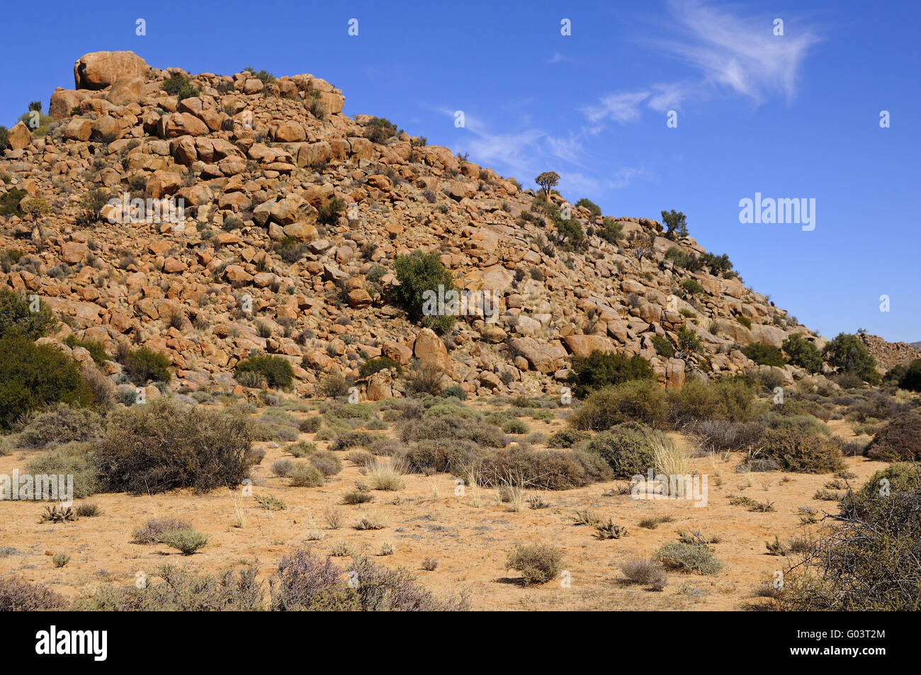 semi-desert of Goegap Nature Reserve, South Africa Stock Photo