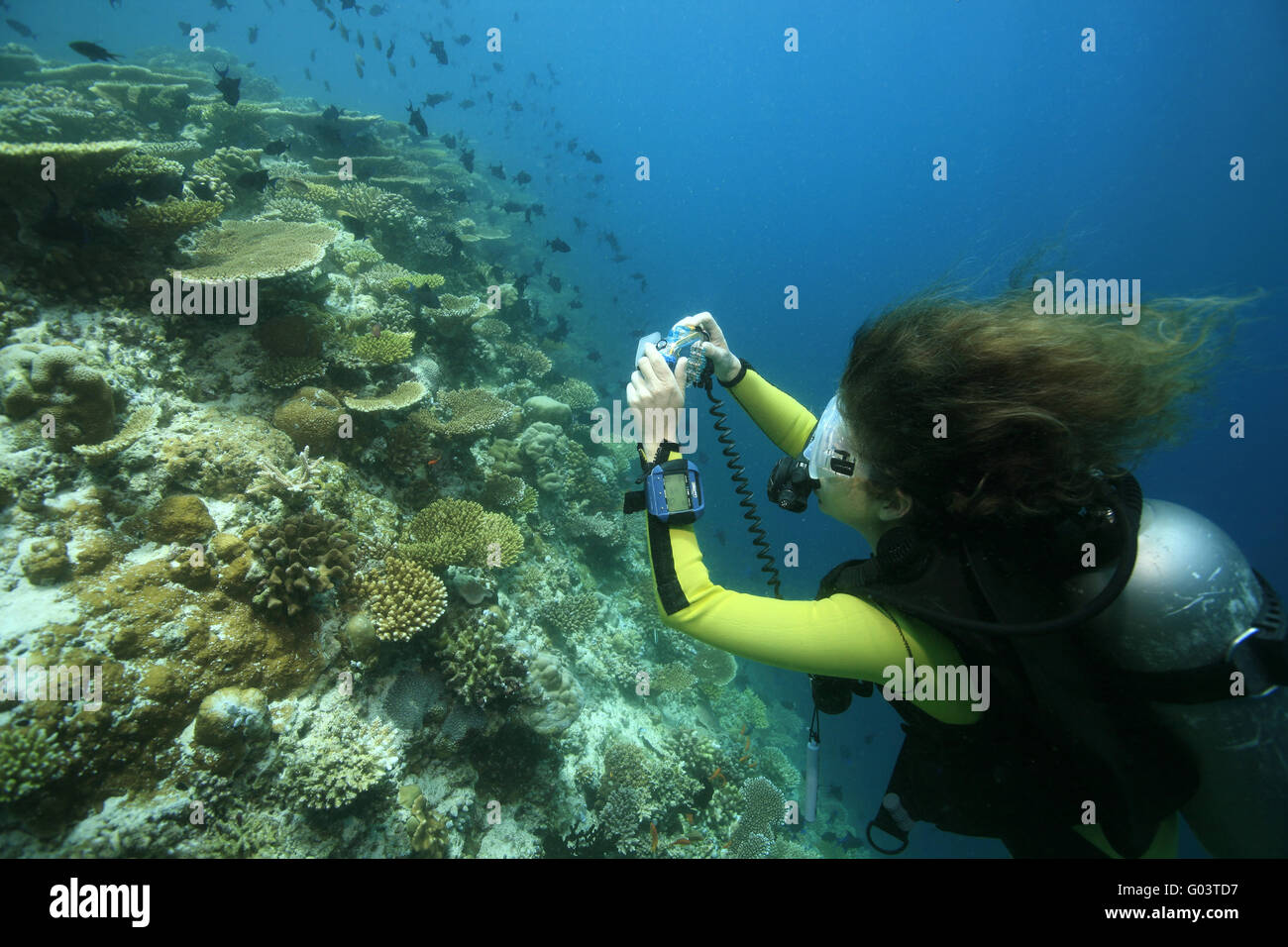 Taucherin mit Kamera, Scubadiver and camera Stock Photo