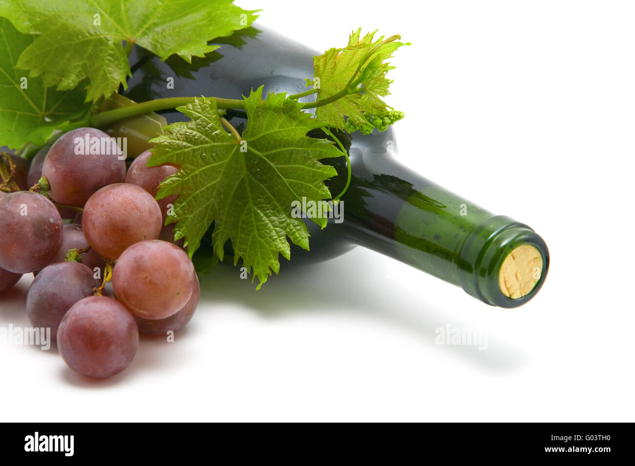 bottle of wine with grape wine leafs and vine Stock Photo
