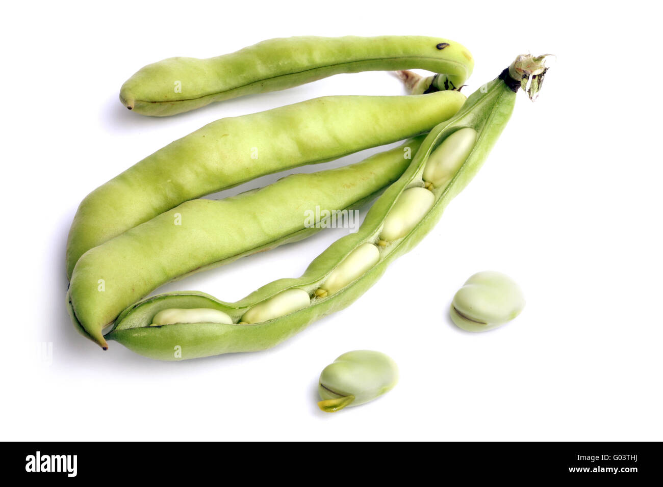 Broad bean pods and two beans Stock Photo